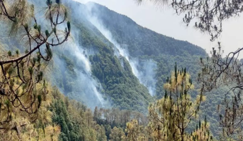 J&K: Forest fire triggers several landmine explosions along LoC in Poonch